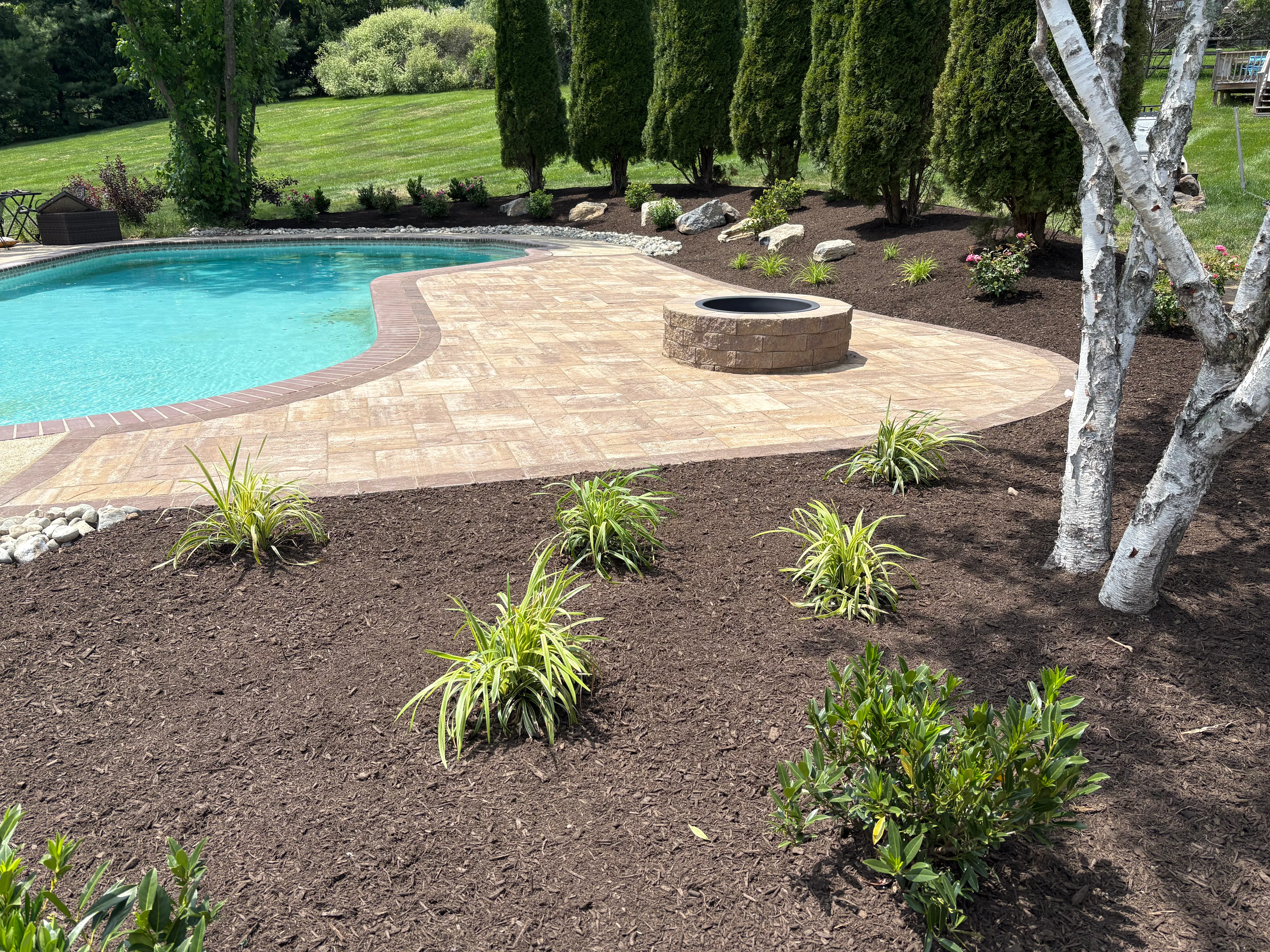 Paver patio with herringbone pattern, stone fire pit, mulch beds, ornamental grasses, and evergreen trees around pool